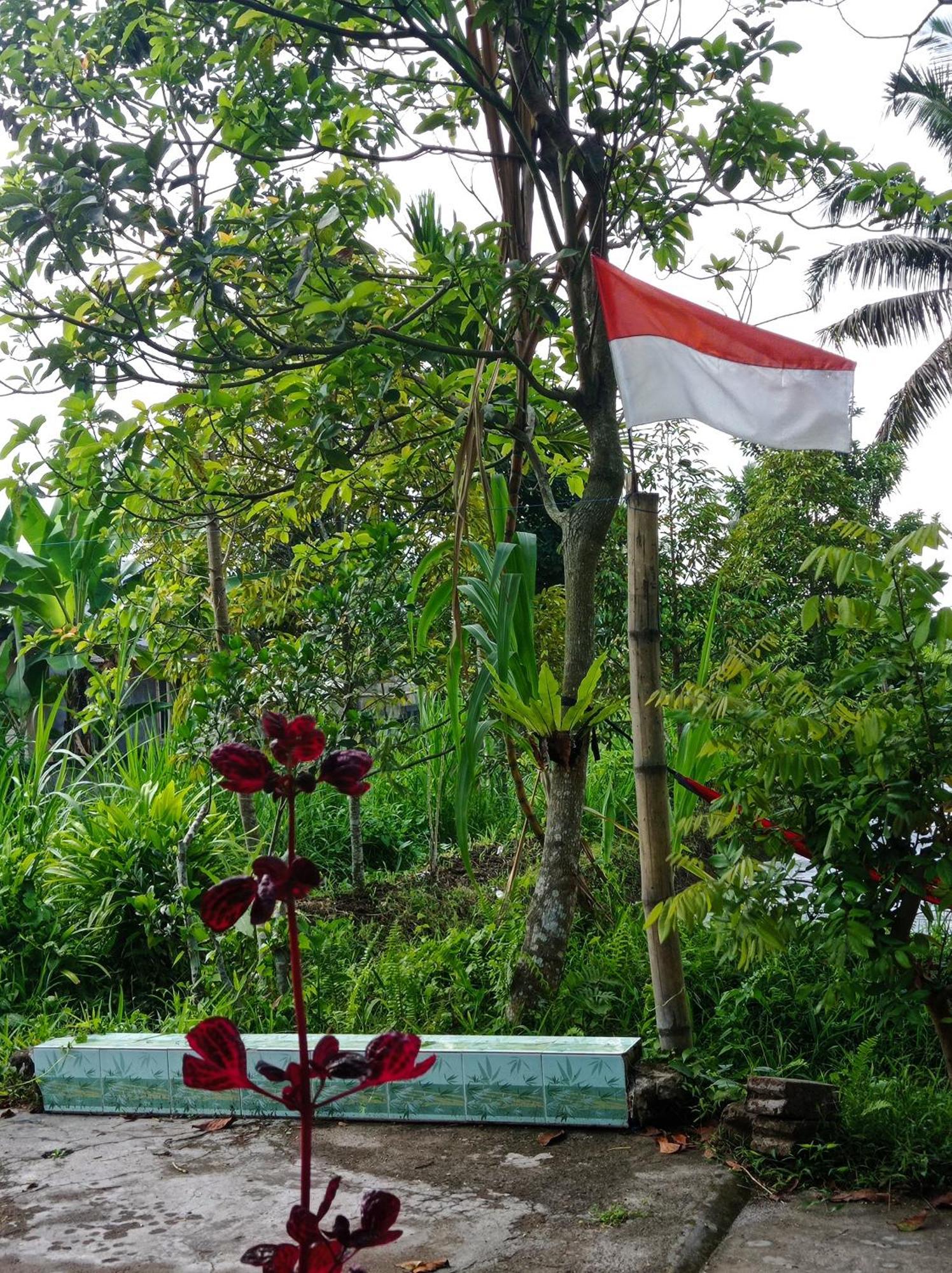 Eltari Homestay Tetebatu Room photo